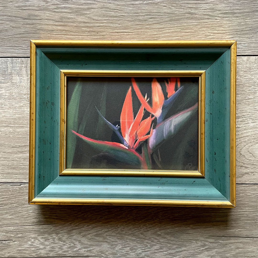 Birds of Paradise Upcycled Vintage Frame Print - Harmonize Visions